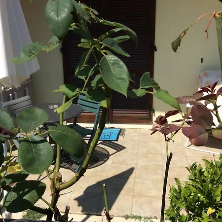 Affitto Sul Mare Σενιγκάλια