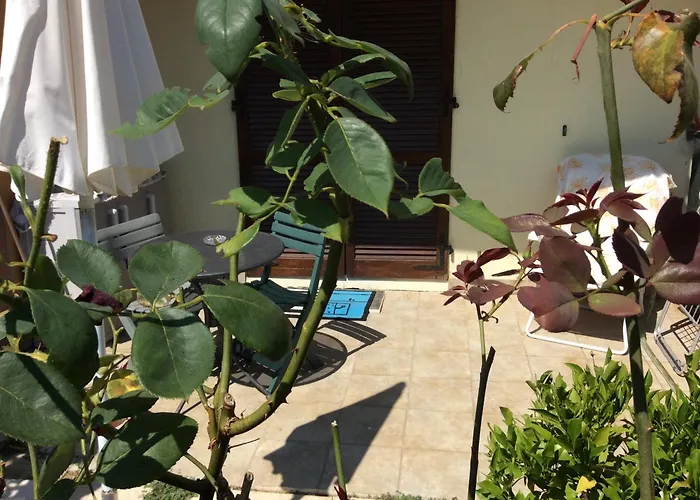 Affitto Sul Mare Σενιγκάλια